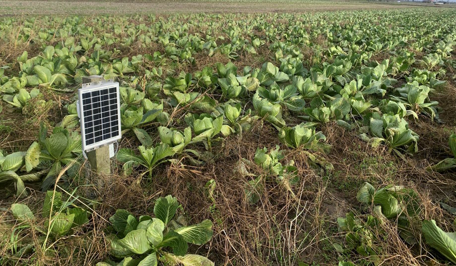 Colruyt Group uses Reporter for soil moisture measurements at the organic farm Het Zilverleen