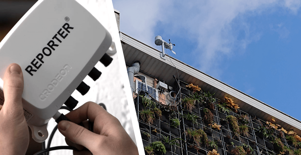 Surveillance des murs végétalisés : pourquoi votre jardin vertical a besoin de capteurs connectés